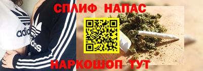 ешки Гай