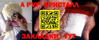 ешки Гай