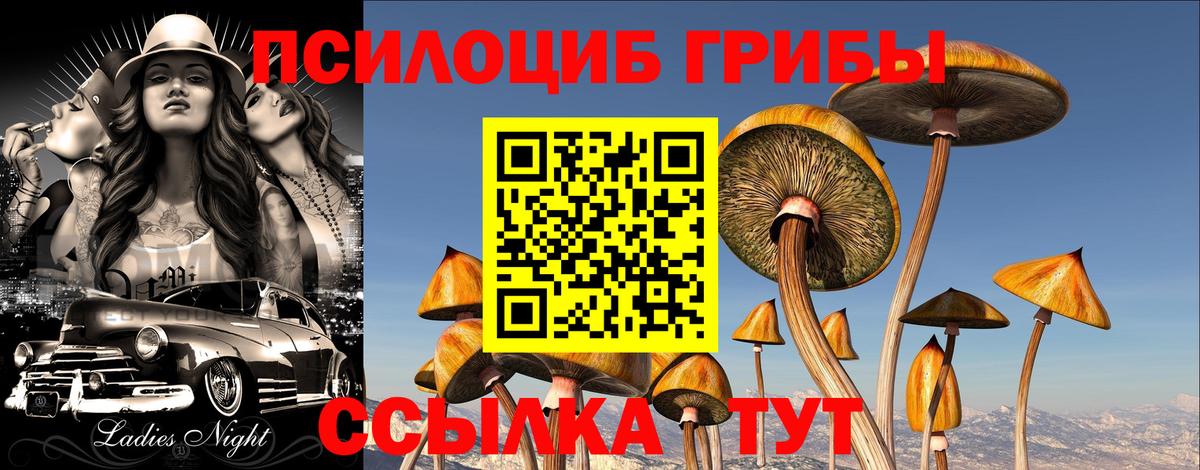 Псилоцибиновые грибы ЛСД  продажа наркотиков  Валуйки  Вход с VPN  Псилоцибиновые грибы GOLDEN TEACHER 